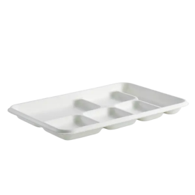 Disposable Trays